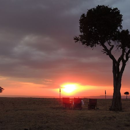 فندق Loyk Mara Luxury Camp ماساي مارا المظهر الخارجي الصورة