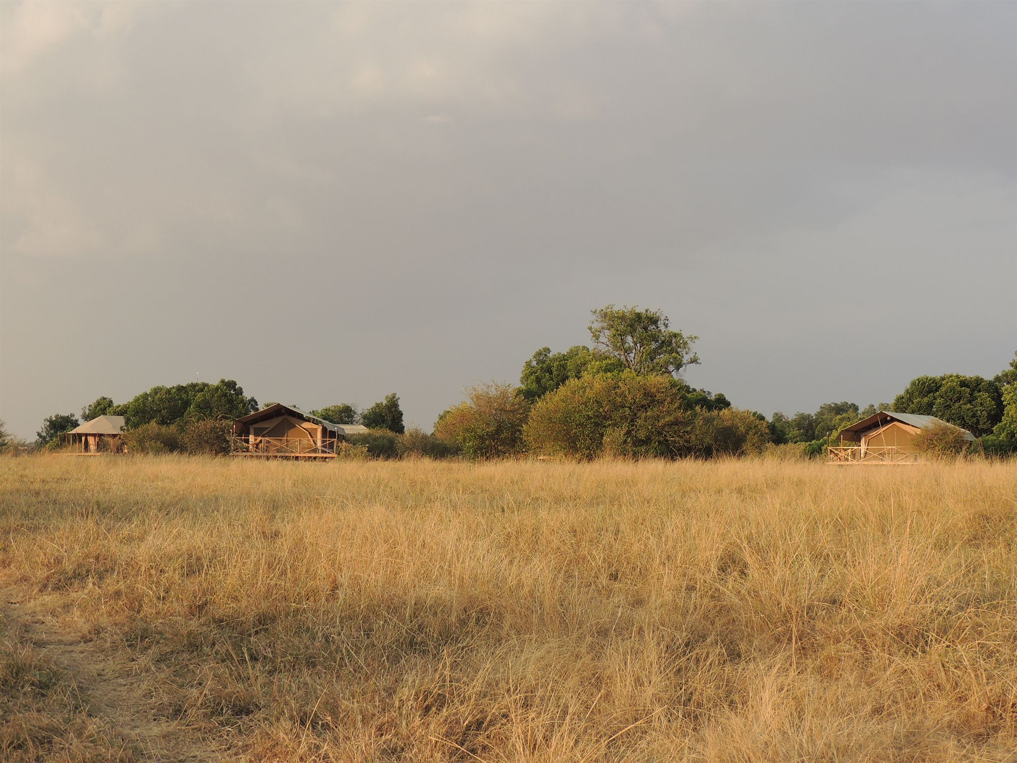 فندق Loyk Mara Luxury Camp ماساي مارا المظهر الخارجي الصورة