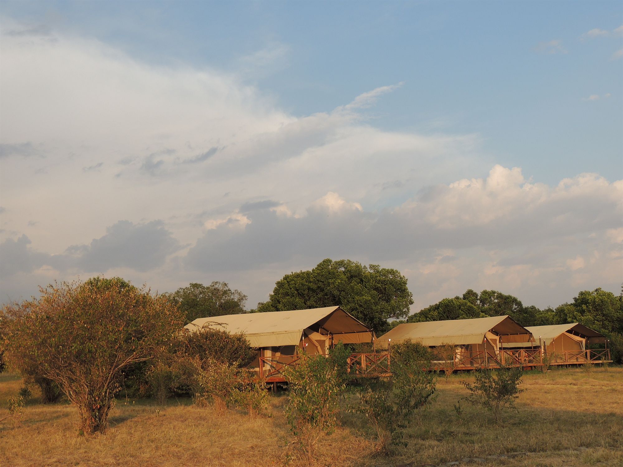فندق Loyk Mara Luxury Camp ماساي مارا المظهر الخارجي الصورة