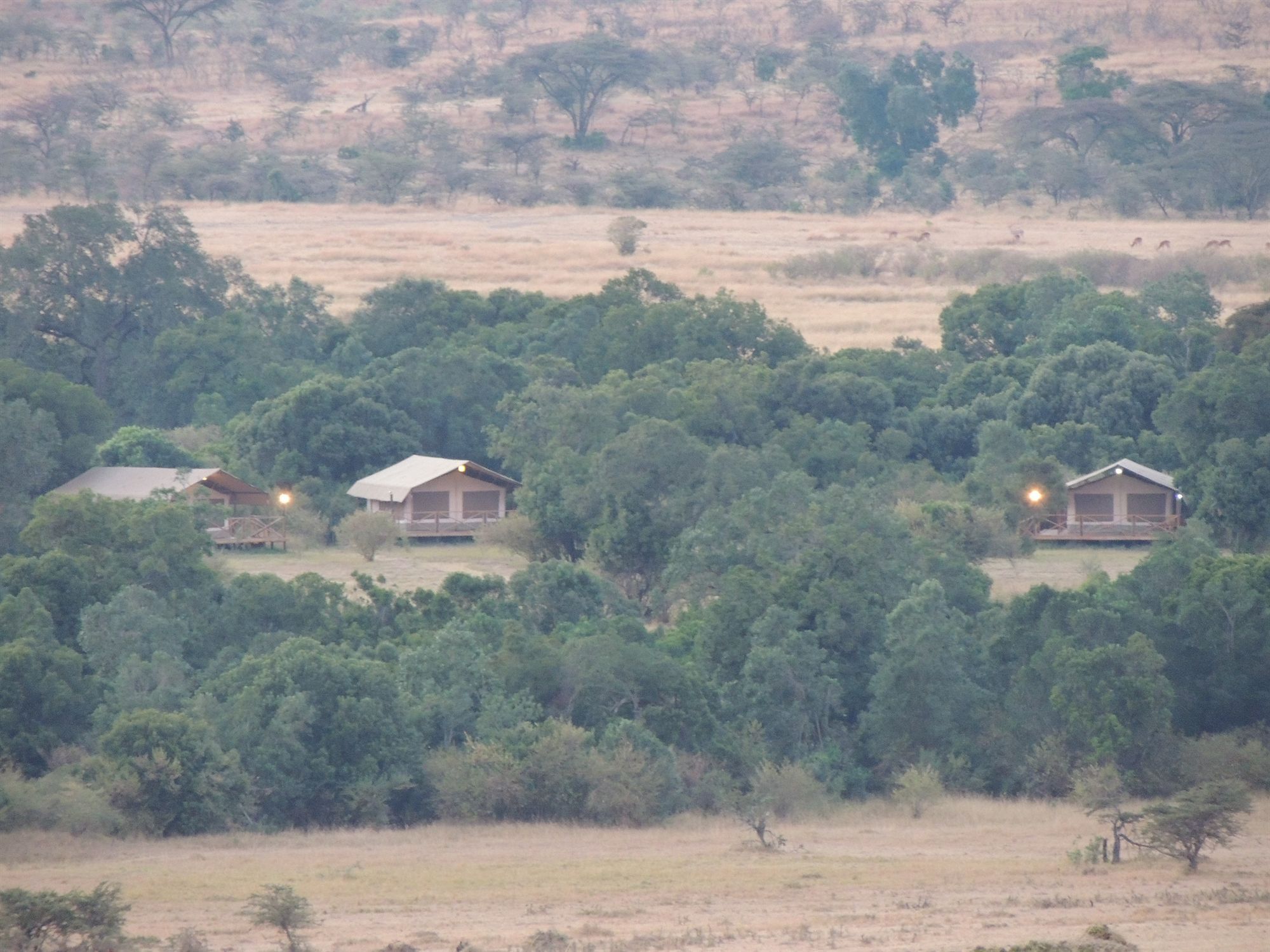فندق Loyk Mara Luxury Camp ماساي مارا المظهر الخارجي الصورة